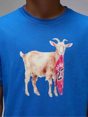 Jordan Flight Goat Print T-Shirt Nike